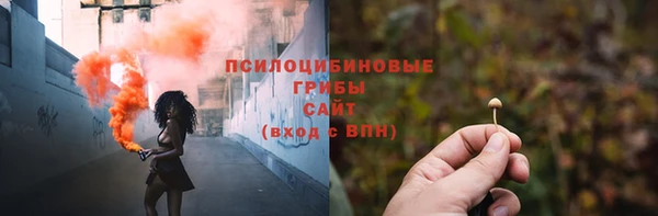экстази Новозыбков