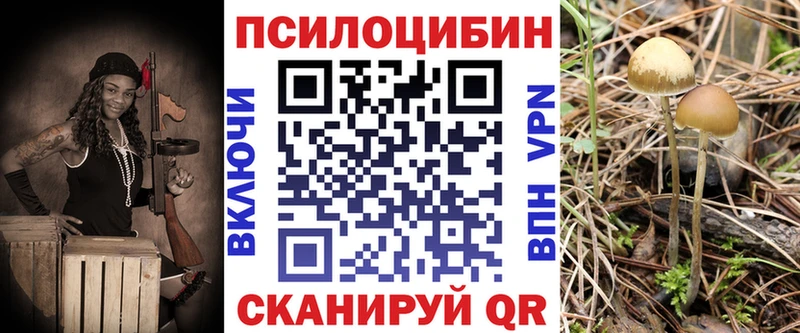 Галлюциногенные грибы Psilocybe  цена наркотик  Краснокамск 