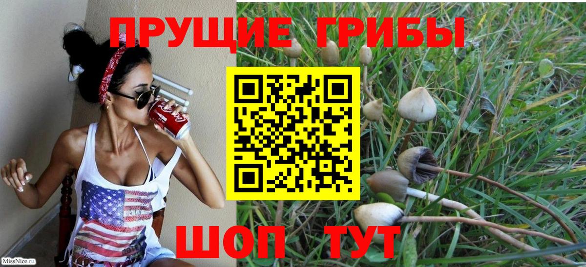 Галлюциногенные грибы Cubensis  Вход с VPN  Краснокамск 