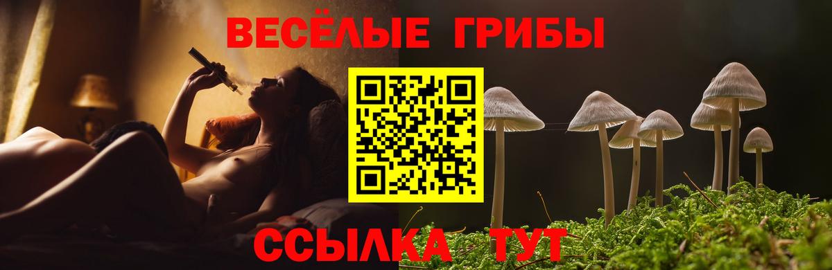 Галлюциногенные грибы Cubensis Краснокамск